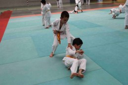 Stage-de-tai-jitsu-taijitsu-miramas-30-31-mai-2015-IMG_7837