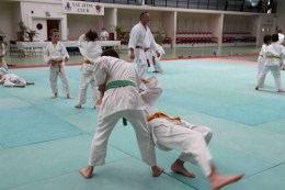 Stage-de-tai-jitsu-taijitsu-miramas-30-31-mai-2015-IMG_7850
