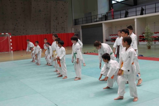 Stage-de-tai-jitsu-taijitsu-miramas-30-31-mai-2015-IMG_7868