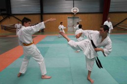 Stage-de-tai-jitsu-taijitsu-miramas-30-31-mai-2015-IMG_7875