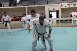 Stage-de-tai-jitsu-taijitsu-miramas-30-31-mai-2015-IMG_7980