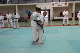 Stage-de-tai-jitsu-taijitsu-miramas-30-31-mai-2015-IMG_7983