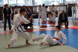 Coupe-regionale-individuelle-Tai-Jitsu-LFAKDA-somain-2016-IMG_5775