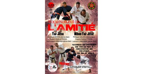 facebook-affiche-stage-national-tai-jitsu-amitie-2017